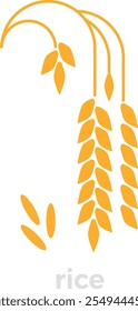 Rice crop color icon. Farm cereal grain