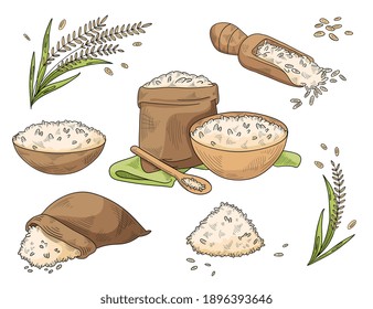 Cultivo de arroz y comida hecha de él. Gachas de arroz en una olla y tazón, granos de arroz esparcidos en una bolsa y una cuchara. Ilustración vectorial plana. Conjunto de ilustraciones vectoriales de dibujos animados de color