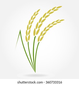 Rice. Crop symbol. Rice or Wheat ears design element. Agriculture grain. Colorful vector illustration.