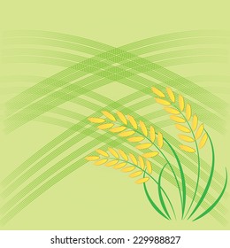 Rice design on   green background