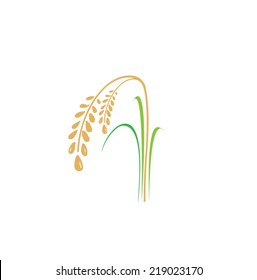 Rice design on white background vector