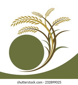 Diseño de arroz sobre fondo blanco 