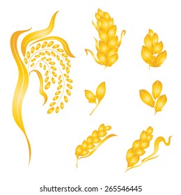 Rice design on white background , rice plant, rice grain isolated, illustration
