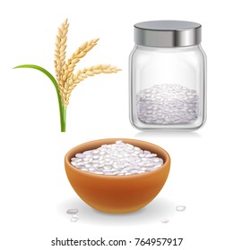 Rice ear, bowl, jar with long-grained and short-grained rice grain. Realistic set.