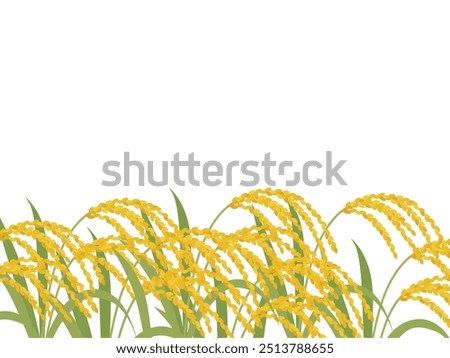 Rice ears background vector illustration