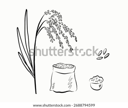 Rice ears hand drawn sketch. Plant, Branch, grains, pile, harvested rice in a bag. Vector Illustration of fresh and dried whole grains. Cereal harvest, agriculture, organic farming, healthy food