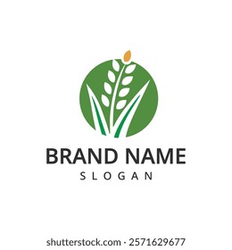 Rice Ears Icons, Cereal Spikes of Paddy or Jasmine, Vector Organic Product Labels. Rice Grain Food Signs of Premium Quality for Asian Cuisine or Flour.
