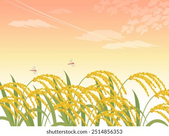 Orejas de arroz y Ilustración vectorial de fondo del cielo de la puesta del sol