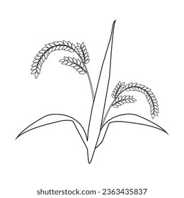 Rice farming icon vector illustration symbol design