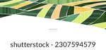 Rice field collage pattern or abstract agriculture vector background with texture. Stripe japan farmland, green ecology design. Rural farm, Thailand countryside, agro illustration. Eco vineyard banner