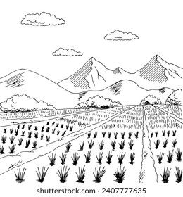 Rice field graphic black white landscape sketch illustration vector 