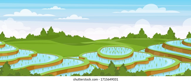 Rice field landscape vector illustration. Cartoon flat rural farmland scenery with green paddy rice terraces, terraced farmer plantation for rice cultivation in water, asian agriculture background