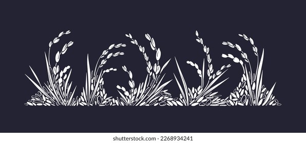 Rice field, mix grains. Vector texture drawing plant on black background. Graphic border. Asian traditional food. Organic milk, gluten free flour