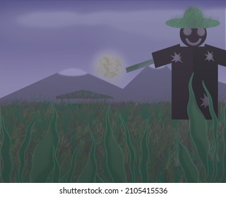 rice field with mountain background in the night