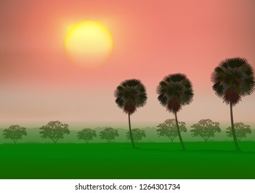 Rice field natural background during dawn of green paddy field countryside with sugar palm graphic vector