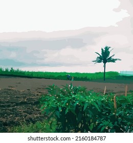 rice field scenery vector illustration template