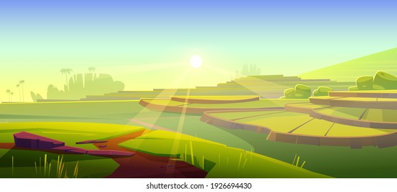 Rice field terraces, green paddy at morning. Vector cartoon illustration of summer landscape with crop plantation on hills at sunrise. Asian terraced farmland and sun rays