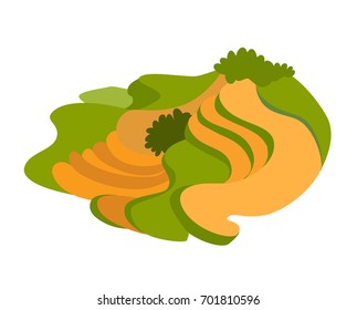 Rice field vector icon. Abstract asian meadow with plant. Flat cartoon vector illustration, isolated on white background