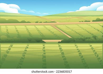 Rice fields agriculture plantation vector illustration countryside landscape background