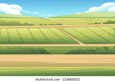 Campos de arroz agricultura plantación vectorial ilustración paisaje de fondo