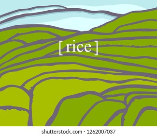 Rice fields. Plantation on cascades field. Rice title 