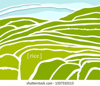 Rice fields. Plantation on cascades field. Rice title