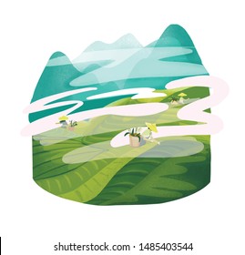 Rice fields under the mountains. Vector illustration.