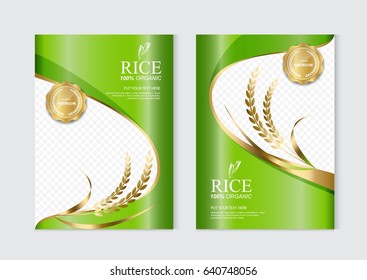 Rice food or thai food, banner and poster template vector design. 