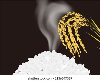 Rice grain rice background
