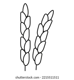 Rice grain ear, line art icon. Linear sketch, outline spica plant for agriculture, cereal products, bakery. Vector sign