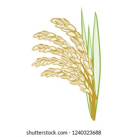 Rice grain with leaves.