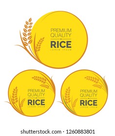 Rice, Rice Grain, Premium Quality Organic Rice Banner Set Vector Illustration