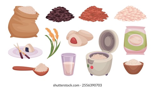 Rice. Grain products traditional asian food exact vector different rice variety colored illustrations