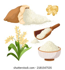 rice grain set cartoon. food bowl, raw, plant, baasmati agriculture, broun asian long farm seed rice grain vector illustration