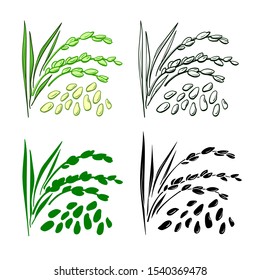 Rice grain. Vector set of plant, spike, leaf, husk. Natural organic food. Hand drawn illustration on white background. Healthy food. Group of ingredient, organic plant, vegan milk