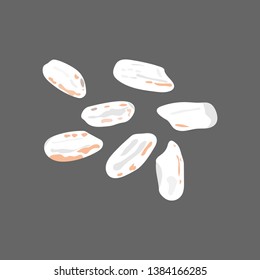 Rice grains isolated on dark background. Vector illustration