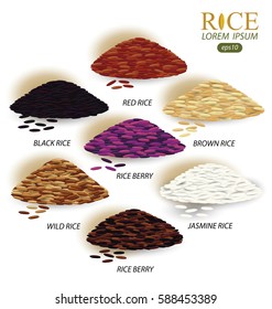 Rice grains isolated on white background. Vector illustration.