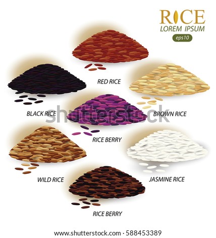 Rice grains isolated on white background. Vector illustration.