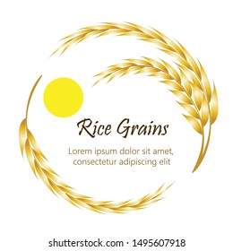 Rice Grains logo. Golden ears of rice with morning sun in circle shape , isolated on white background. Free space for text. Vector Illustrator