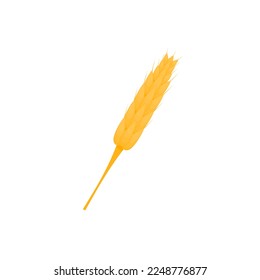 rice grains on a white background