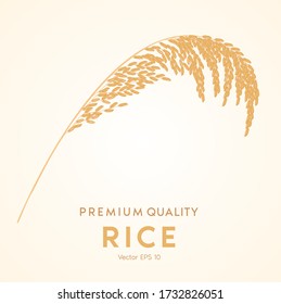 Rice and grains are symbols of agricultural harvesting,  golden yellow patterns wheat. 3D Vector illustration 