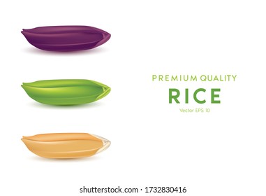Rice and grains are symbols of agricultural harvesting, Wheat and Purple Rice set. 3D Vector illustration 
