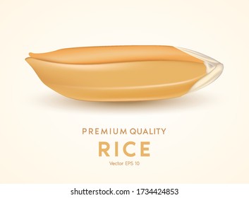 Rice and grains are symbols of agricultural harvesting, golden yellow patterns wheat. 3D Vector illustration