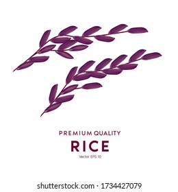 Rice and grains are symbols of agricultural harvesting, Wheat and Purple Rice. 3D Vector illustration