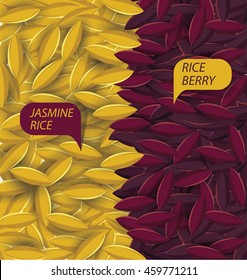 Rice grains. Vector illustration.