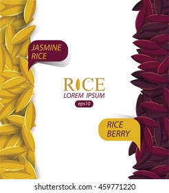 Rice grains. Vector illustration.