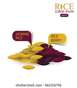 Rice grains. Vector illustration.
