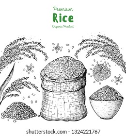 Rice hand drawn vector illustration. Bag of rice sketch. Packaging design