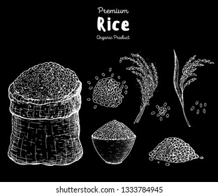 Rice hand drawn vector illustration. Bag of rice sketch. Packaging design. Rice plant.