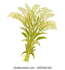 Rice harvest. Bunch of ears tied with rope. Vector illustration of cereal stalks isolated.